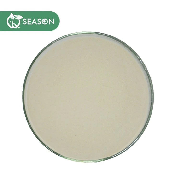 Vitamin A Palmitate Powder